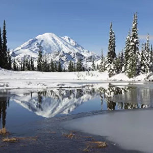 Mount Rainier and Upper Tipsoo Lake, Mount Rainier National Park, Washington State, USA