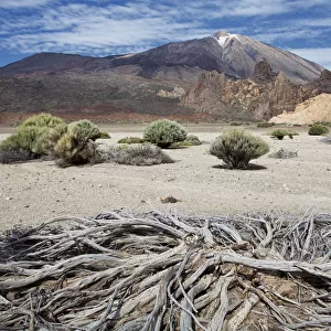 Mount Teide landscape