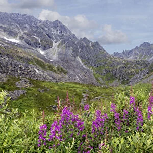 Mountain landscape in Talkeetna Mountains, Alaska, USA