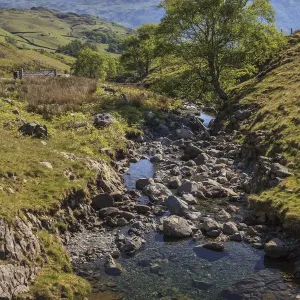Mountain Stream Print, Honister Pass, Lake District Mountain Stream Print, Honister Pass, Lake District