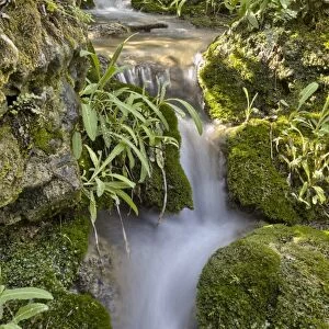 Mountain stream among rocks and vegetation