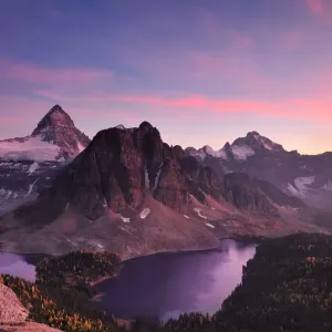 Mt. Assiniboine at Sunset Print Mt. Assiniboine at Sunset Print