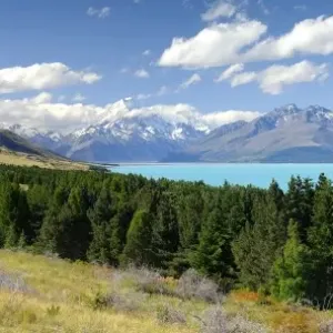 Mt Cook Mt Cook