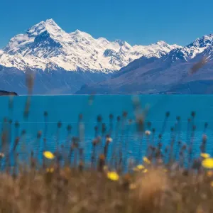 Mt. Cook and the southern alps with lake Pukaki in the foreground Mt. Cook and the southern alps with lake Pukaki in the foreground