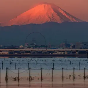 Mt Fuji close-up Mt Fuji close-up