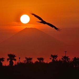 Mt Fuji and Sunset
