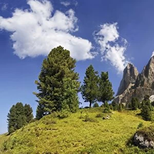 Mt Peitlerkofel, Sasso delle Putia, with mountain forest and trail at Wuerzjoch, Passo delle Erbe, Villnoess, Funes, Dolomites, South Tyrol, Italy, Europe