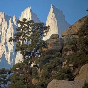 Images Dated 2020 November: 19 Nov 2020