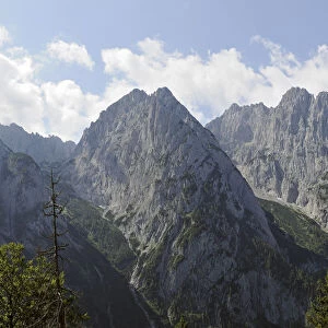Mt Wilder Kaiser, Mt Predigtstuhl and Mt Fleischbank, hike to Ranggenalm alpine pasture, Tyrol, Austria, Europe