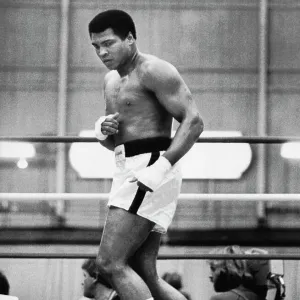 Moments of Glory: Boxing