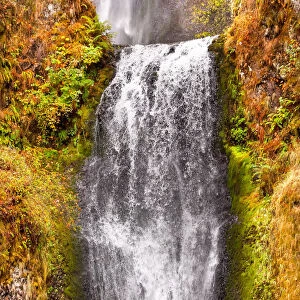 Multnomah Falls in Autumn, Columbia River Gorge, Oregon, USA