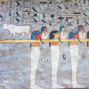 Mural paintings in tomb of Ramses I