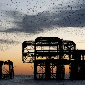 Murmuration over the ruins of Brightons West Pier