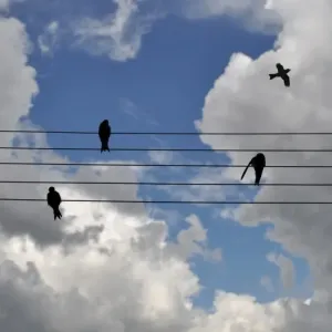Music in the clouds Music in the clouds