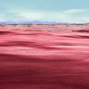 Mutantnature Mutantnature