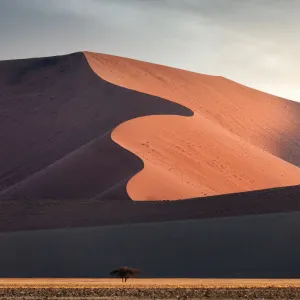 Namib desert, Dead Vlei, Namibia, Africa. Sand dunes at sunset