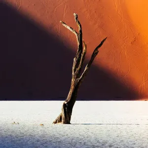 Namib desert, Deadvlei at Sossusvlei sand dunes, Namibia, Africa Namib desert, Deadvlei at Sossusvlei sand dunes, Namibia, Africa