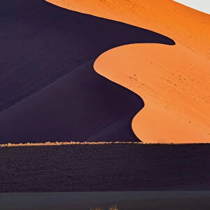 Namib desert, Sossusvlei sand dunes, Namibia, Africa