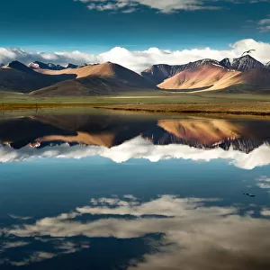 Namtso lake with reflection of mountains and bird