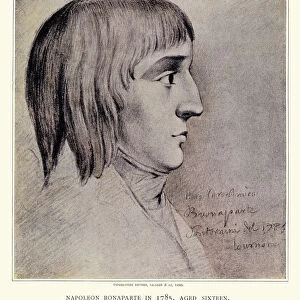 Napoleon Bonaparte in 1785, aged sixteen