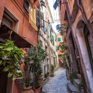 Narrow streets of Vernazza Narrow streets of Vernazza