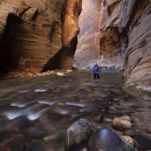 The Narrows, narrow of the Virgin River, Zion National Park, Utah, USA, America