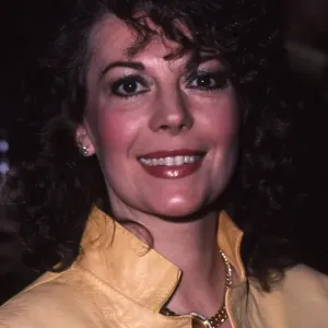 Natalie Wood Attends An Event Natalie Wood Attends An Event