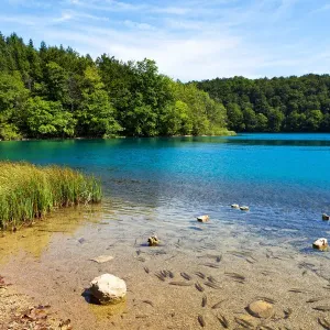 National park Plitvice, Croatia National park Plitvice, Croatia