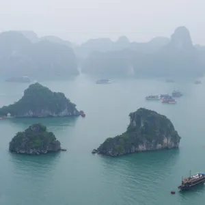 Natural Beauty in Halong Bay