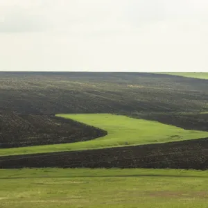 The natural pattern in siberia