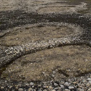 Natural stone circles caused by cryoturbation (aka frost churning), Arctic desert habitat, Palanderbukta (Palander Bay) Zeipelodden, Nordaustlandet, Svalbard, Norway