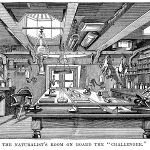 Naturalists Room on Board HMS Challenger Naturalists Room on Board HMS Challenger