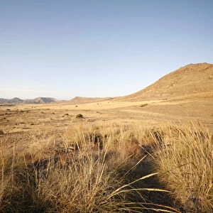 Nature reserve, semi-desert at Cabo de Gata, Andalusia, southern Spain, Europe