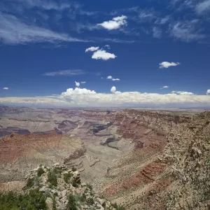 Navajo Point in Grand Canyon