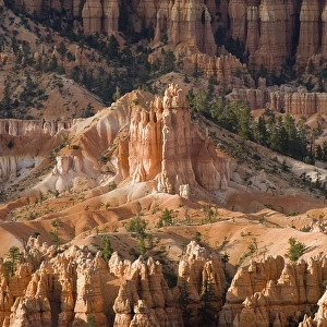 The Needles Of Bryce Canyon