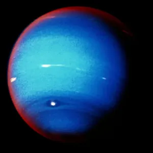 Neptune Neptune
