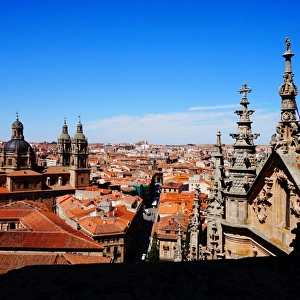 New Cathedral and Overview, Salamanca, Spain