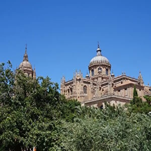 New Cathedral of Salamanca seen from Park, Spain