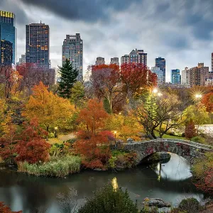 Central Park Autumn Dusk Print Central Park Autumn Dusk Print