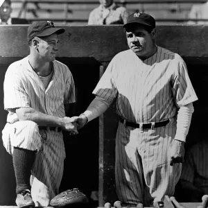 New York Yankees