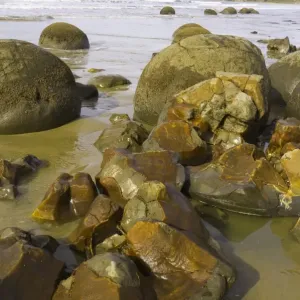 New Zealand, South Island, Otago, Moeraki Boulders on beach New Zealand, South Island, Otago, Moeraki Boulders on beach