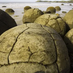 New Zealand, South Island, Otago, Moeraki Boulders on beach New Zealand, South Island, Otago, Moeraki Boulders on beach