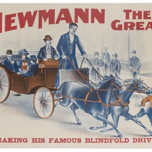 Newmann the Great Newmann the Great