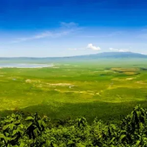 Crater del Ngorongoro Crater del Ngorongoro