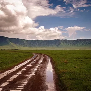 Ngorongoro crater after rain - Tanzania