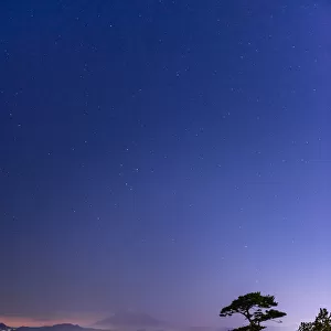 Night of Tateishi park and Mt. Fuji