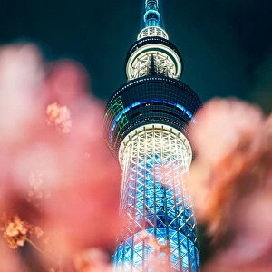 Japan, Land Of The Rising Sun Collection: Tokyo Skytree (Tōkyō Sukaitsurī)