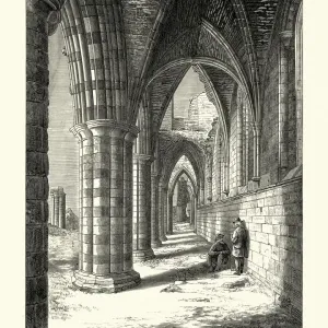 North Aisle, Benedictine Abbey of Whitby, North Yorkshire North Aisle, Benedictine Abbey of Whitby, North Yorkshire