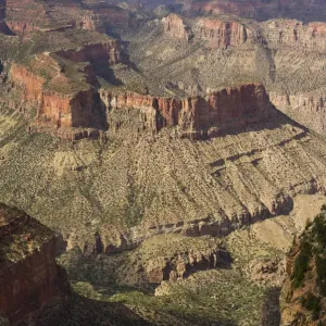 North Rim, Grand Canyon National Park, Arizona, USA