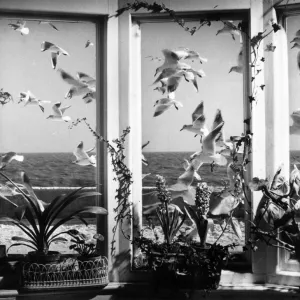Prints of Moments of Everyday Brilliance: Kurt Hutton